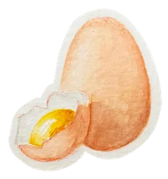Ilustração de um ovo de galinha