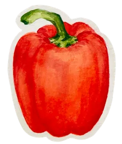 Ilustração de um pimentão